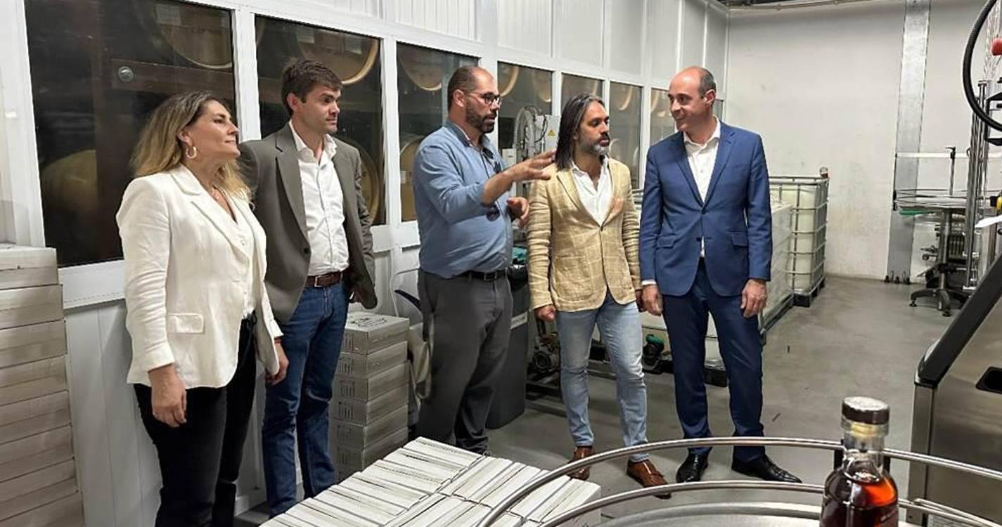 Engenho Novo da Calheta já processou mais de 900 toneladas de cana-de-açucar