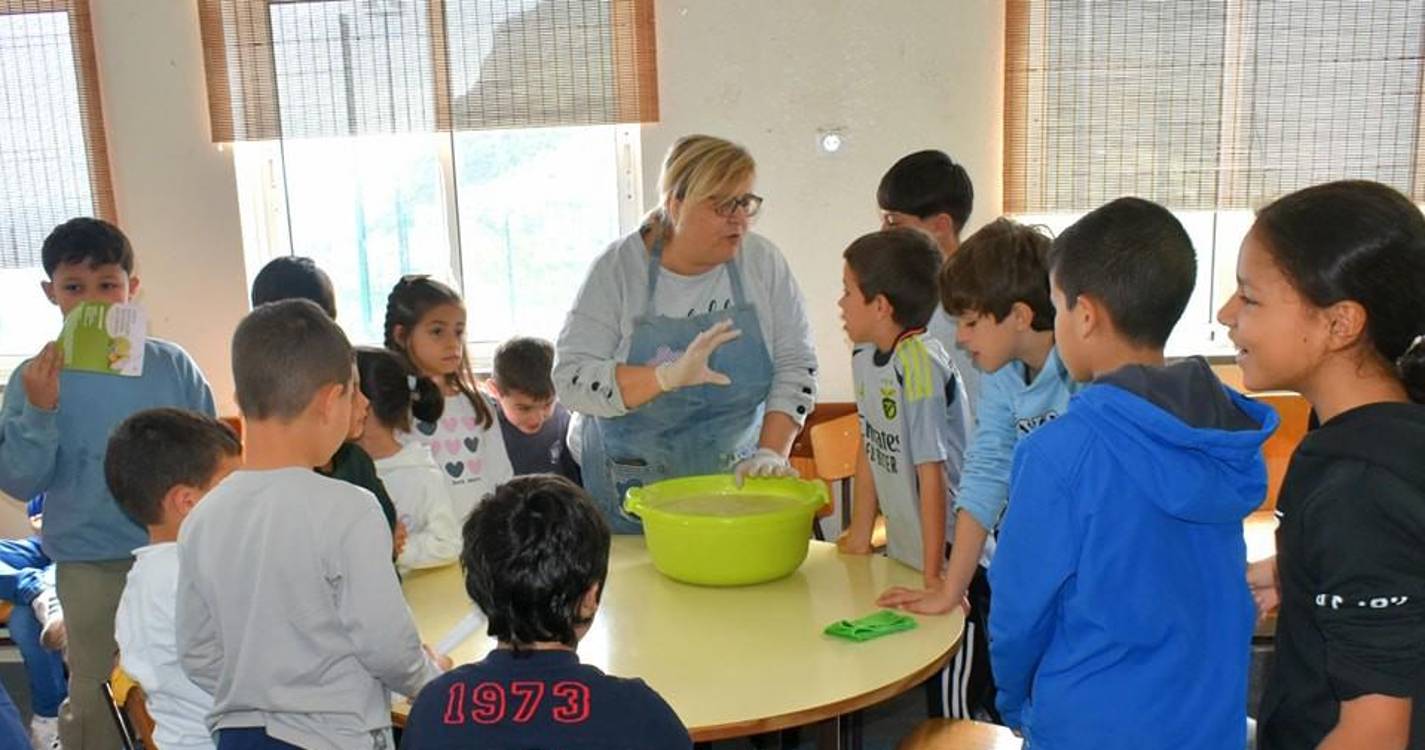 Exposição Regional da Anona realiza-se este fim de semana