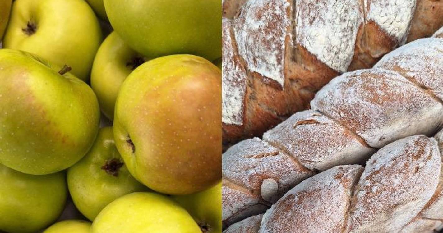 CDISA promove iniciativa que sensibiliza para a produção e consumo de produtos regionais