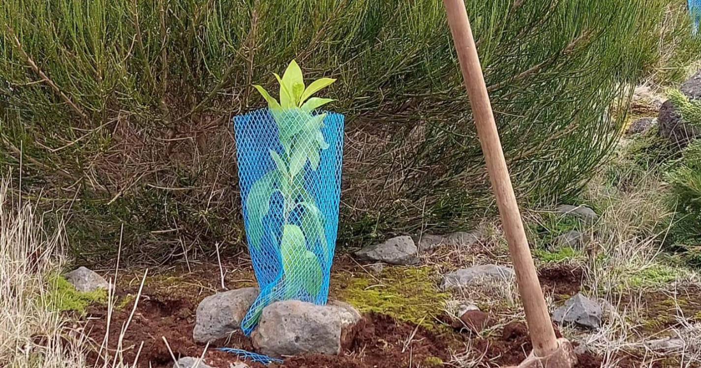 PAN considera “fundamental” proteger a Natureza