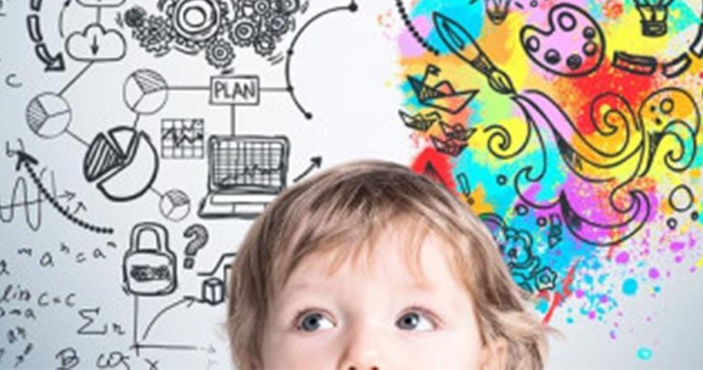 Implicações pedagógicas da investigação cerebral em análise na UMa