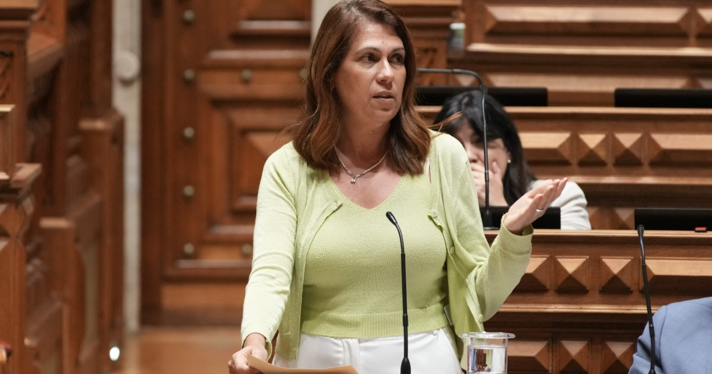 PS defende isenção do Imposto Especial de Consumo para produtores de aguardente de cana