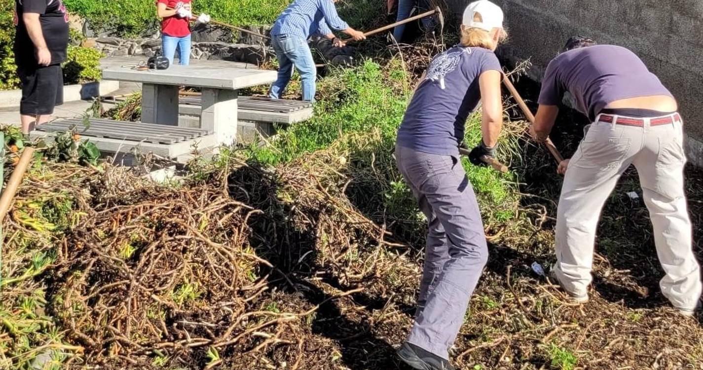 Voluntários e executivo da Junta de Freguesia de São Pedro recuperam jardins dos Viveiros