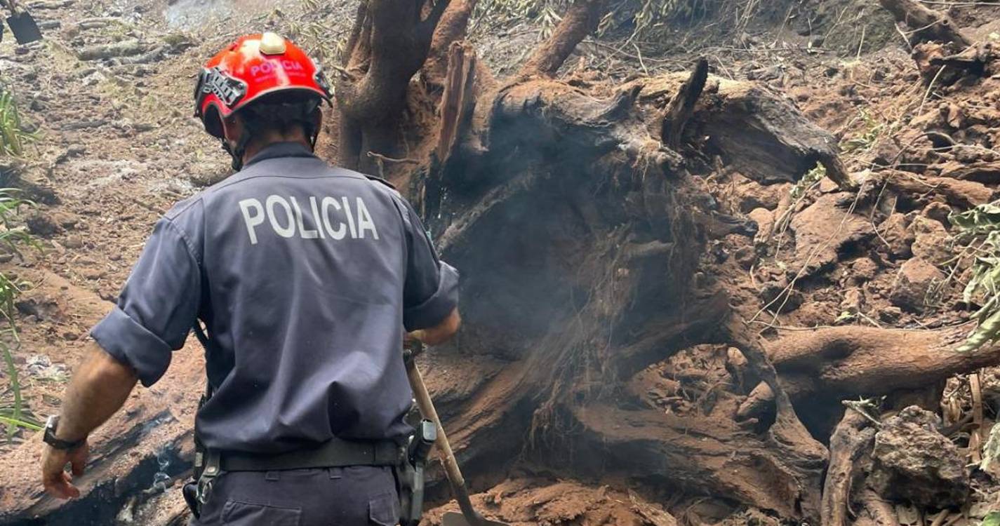 PSP identificou autores de incêndios na Ribeira Brava e Ponta do Pargo