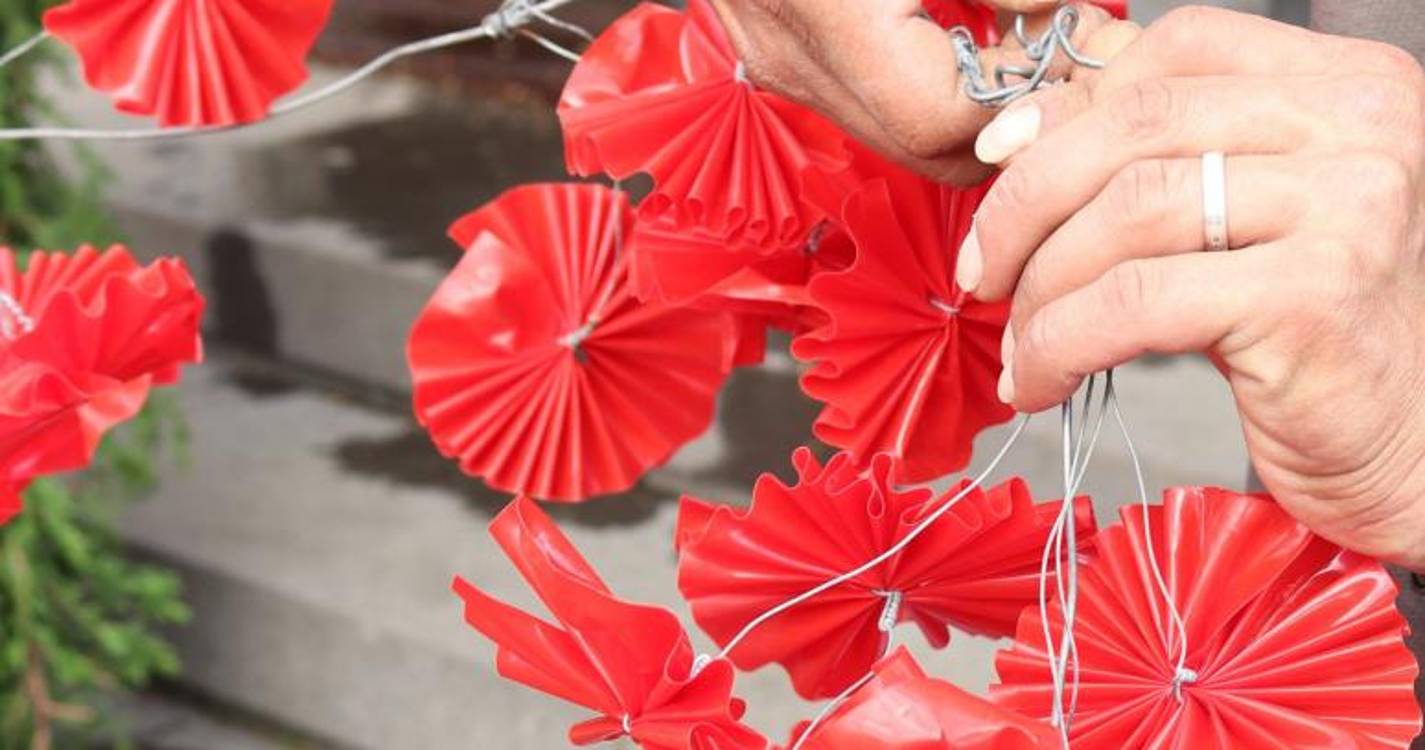 ‘Flores do Povo’ em exposição no Museu Etnográfico