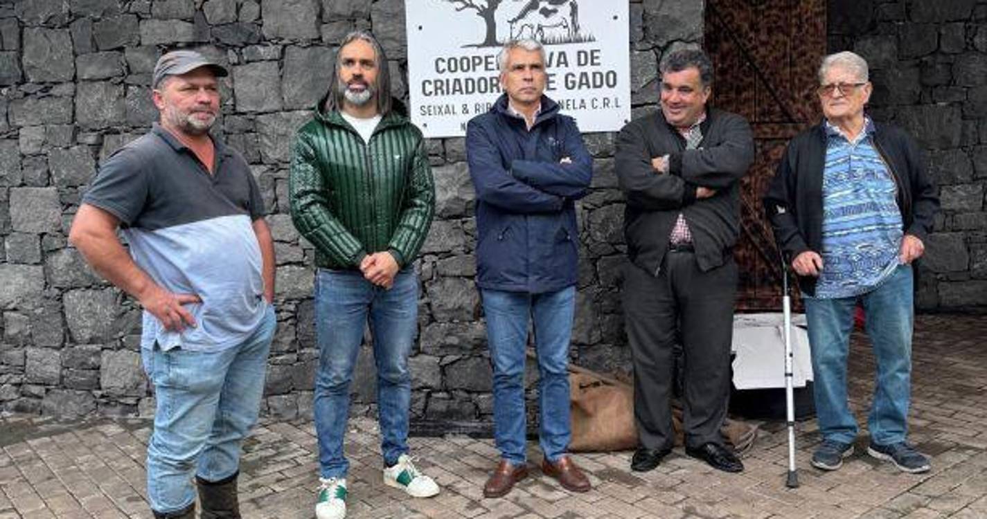 Contrato-programa com criadores de gado “brevemente”