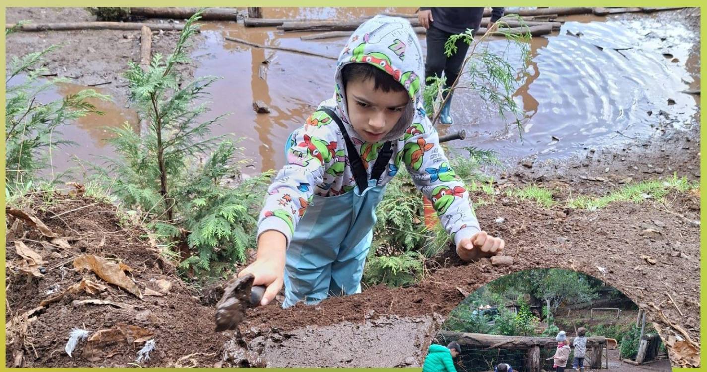 Mesa redonda debate importância do brincar na natureza no desenvolvimento infantil
