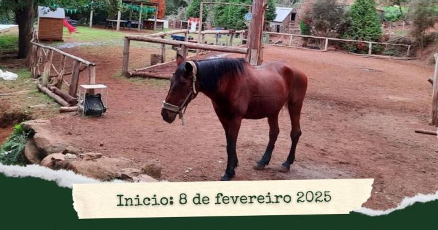 ‘Sábados na Quinta’ proporciona experiências temáticas aos mais novos