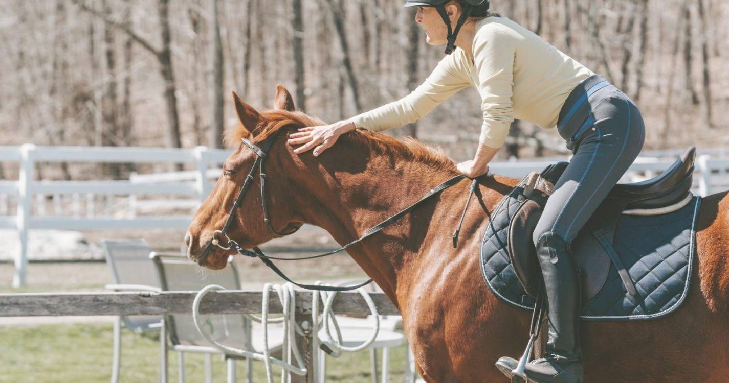 II Festival Equestre da Quinta da Caldeira
