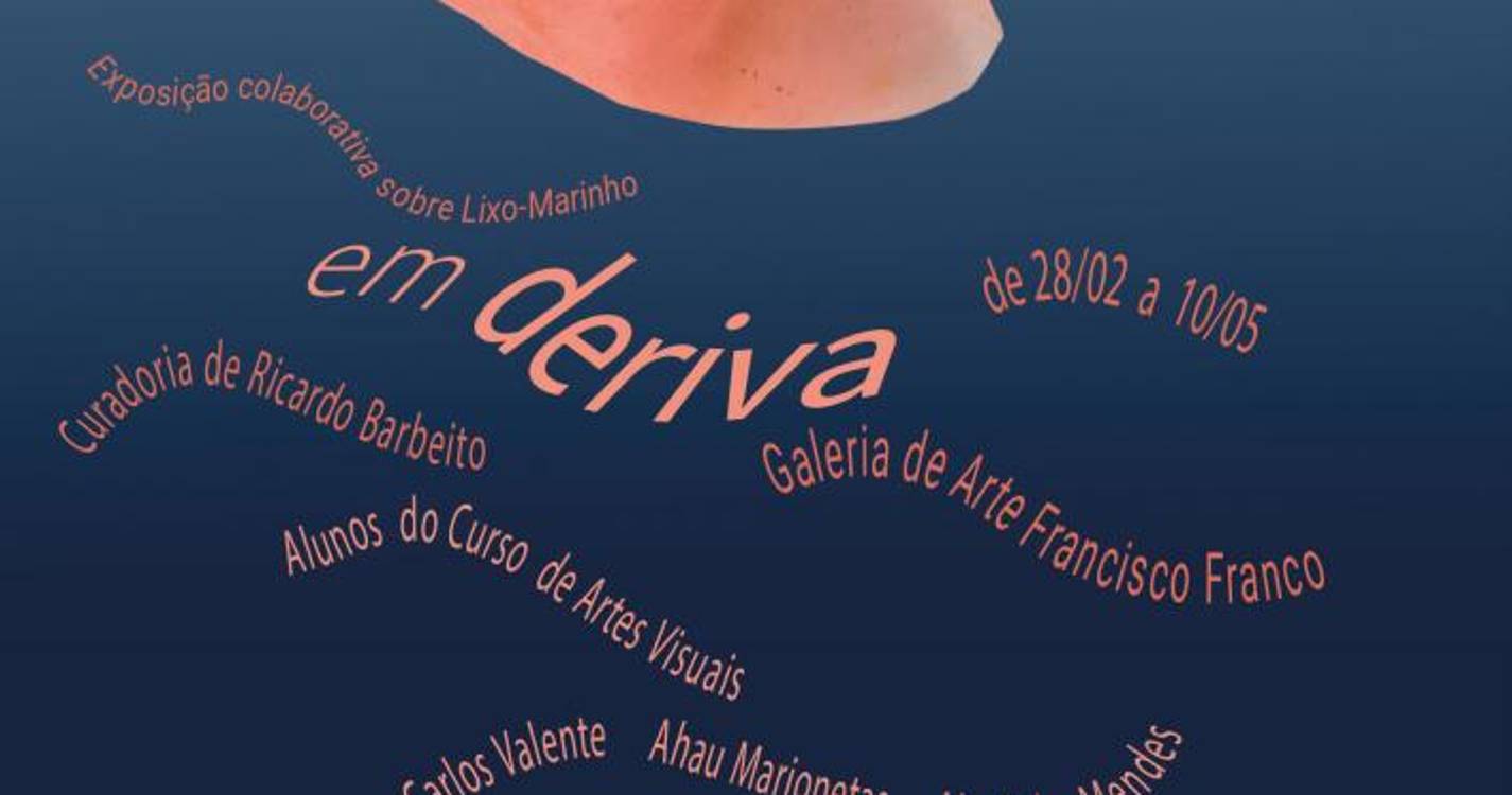 Galeria de Arte Francisco Franco expõe ‘Em Deriva’