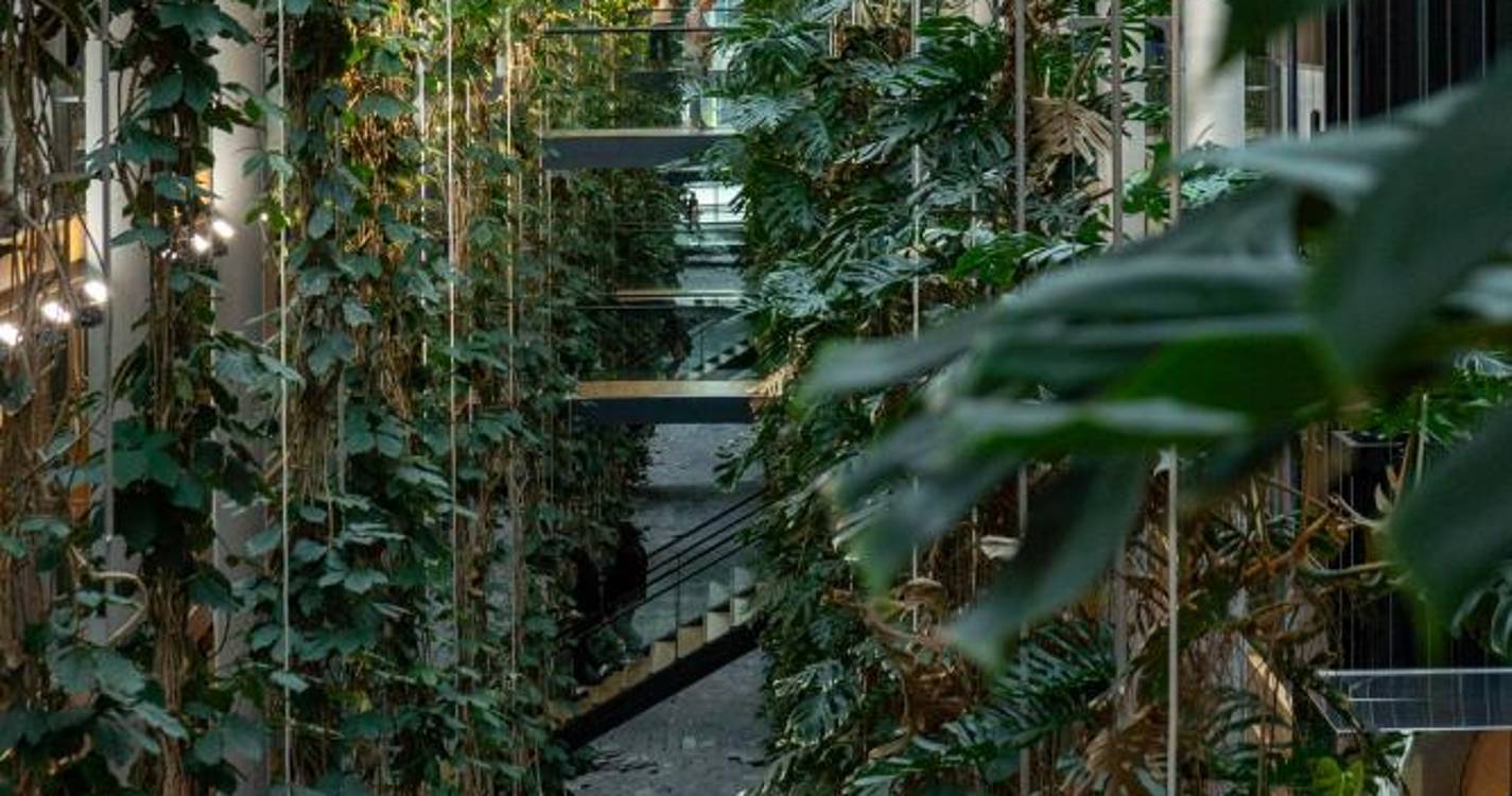 Parlamento Europeu: no coração da Europa tudo acontece