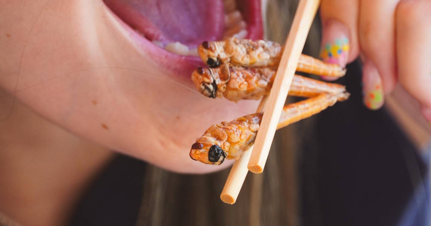 Bug Appetite regressa ao NEXT com mercado de street food com gafanhotos, grilos e larvas