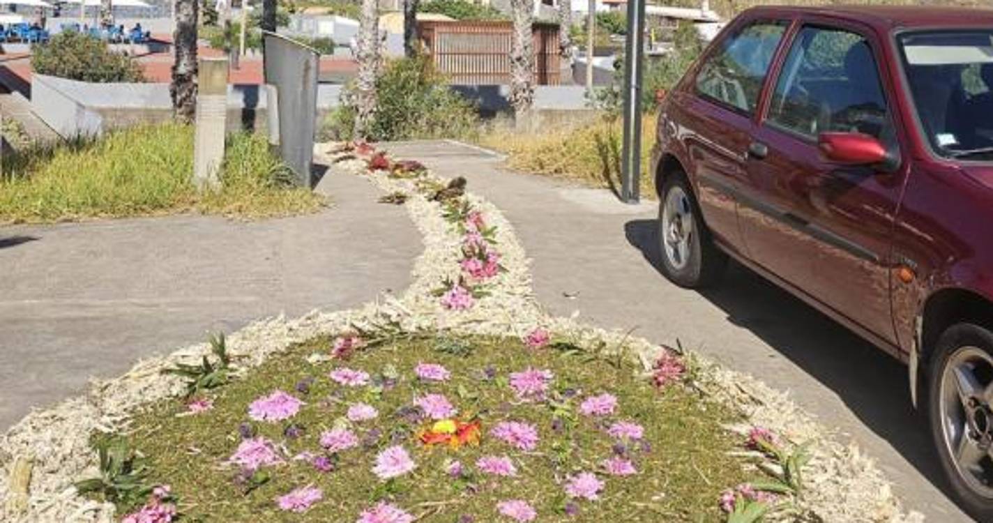 Veja o Muro da Esperança construído por alunos no Engenho do Porto da Cruz (com fotos)