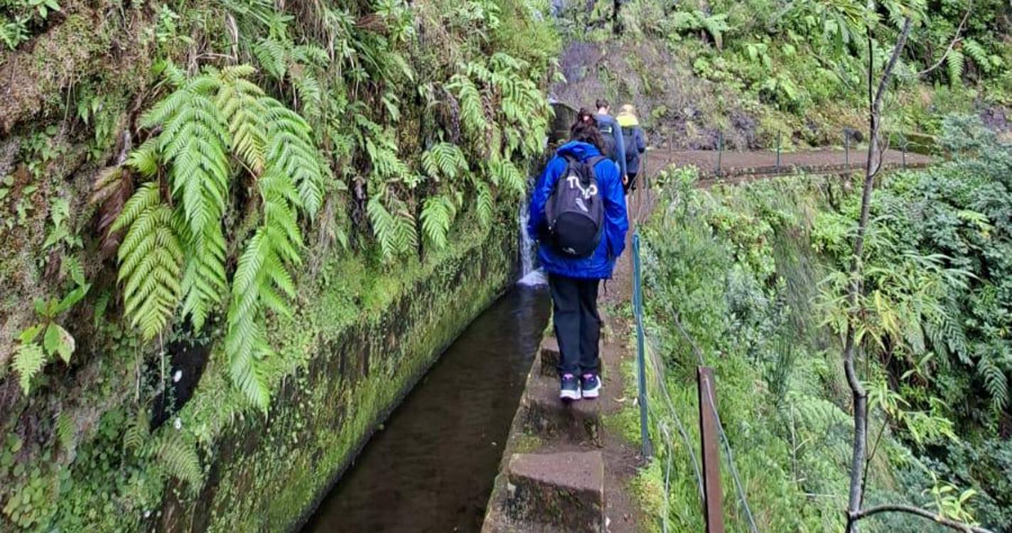 ‘Barbusano’ retomou saídas de campo