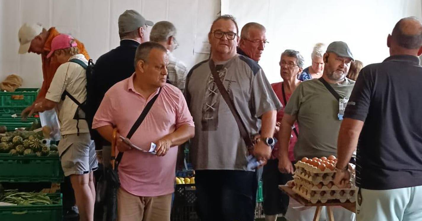 CDU denuncia falta de apoio da Câmara de Santa Cruz aos feirantes do Santo da Serra
