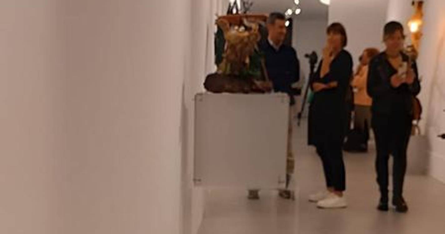 Laurissilva inspirou trabalhos de “qualidade significativa”