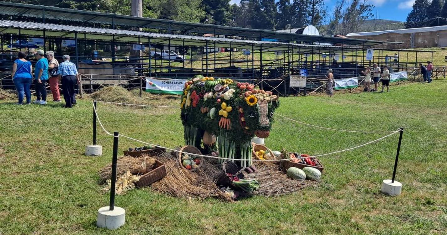 Feira Agropecuária já começou no Porto Moniz (fotos)