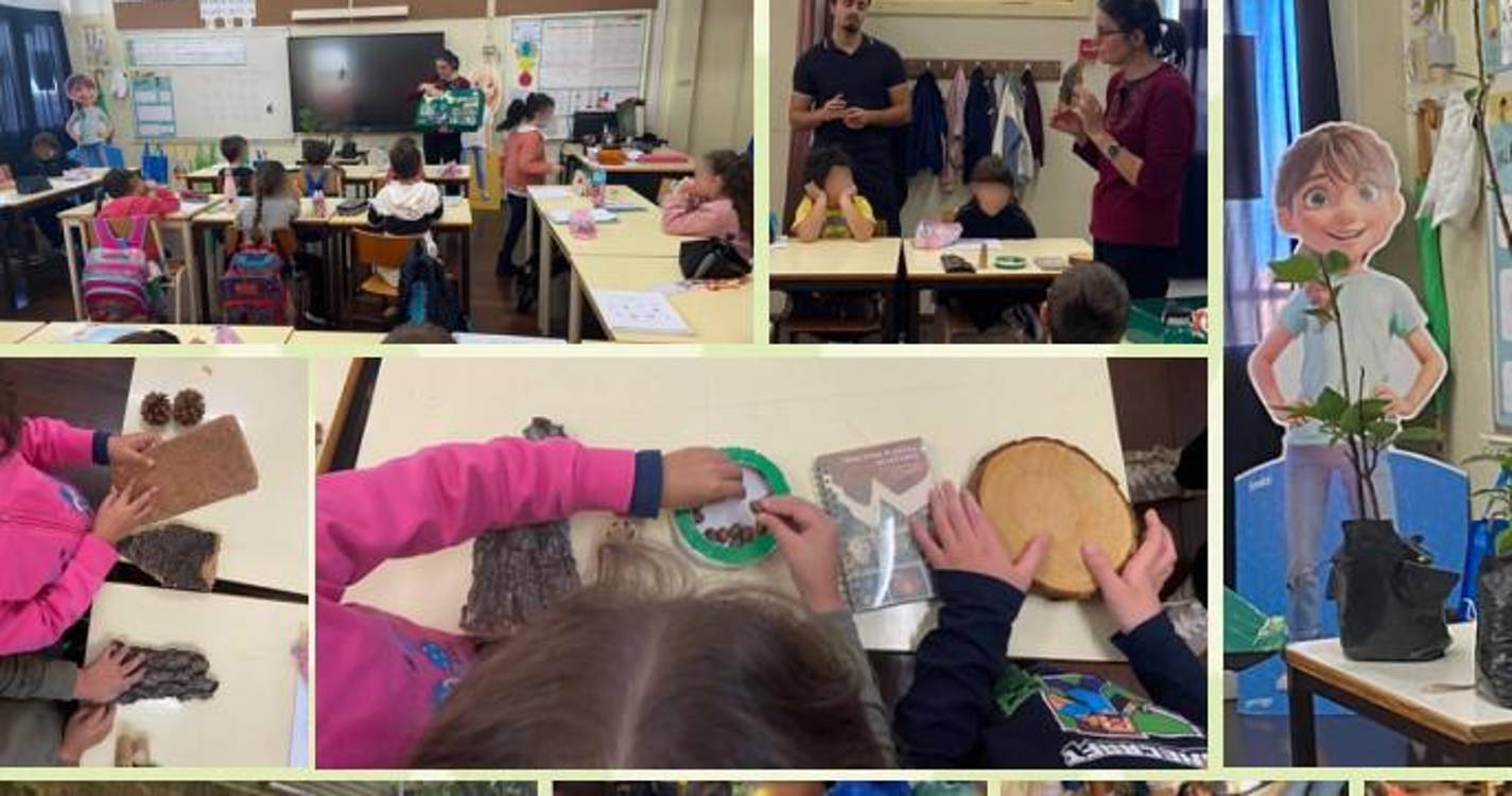 Alunos do 1.º ano participam no atelier “Contigo Floresta”
