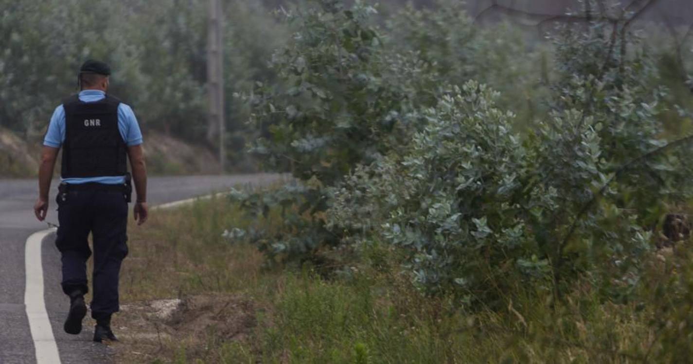 GNR vai reforçar vigilância e fiscalização da floresta até ao fim de novembro