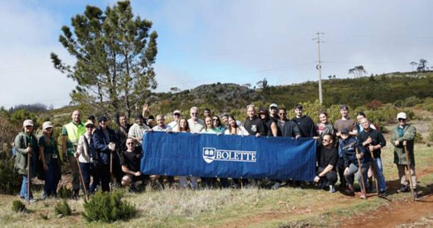 Passageiros e tripulantes de navio de cruzeiro plantam 300 árvores na Madeira
