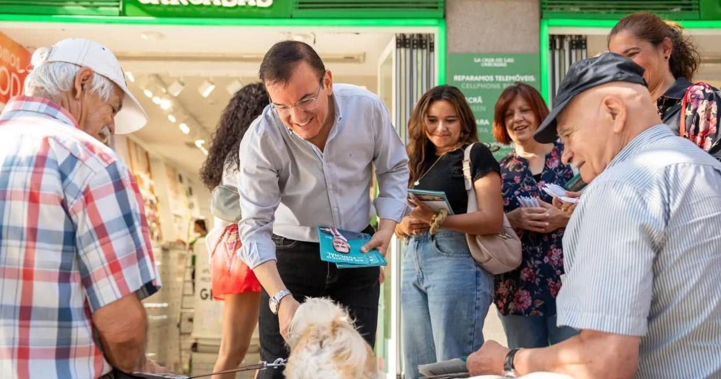 PS garante reforço do apoio à causa animal no Funchal