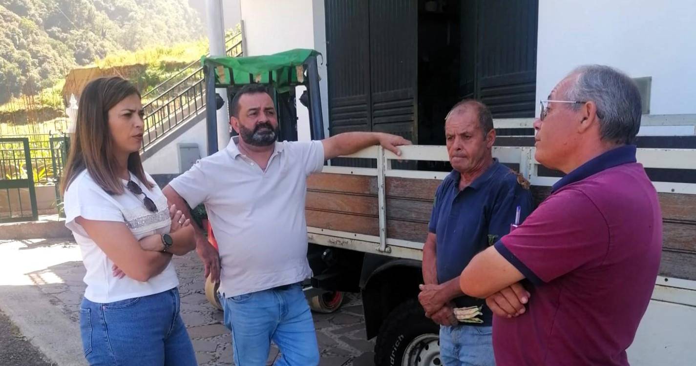 PSD promete mais apoios a agricultores de Santana