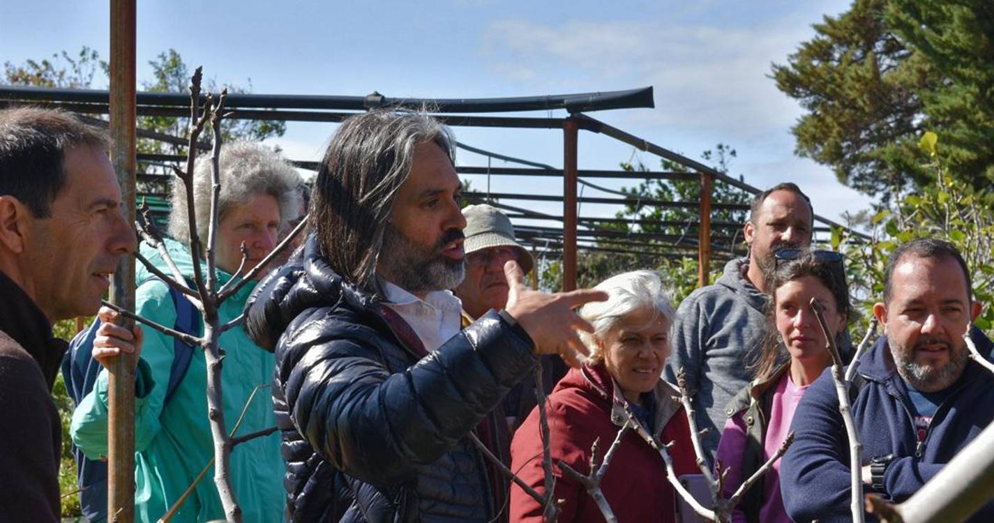 Formação ensina sobre podas e enxertias em fruteiras