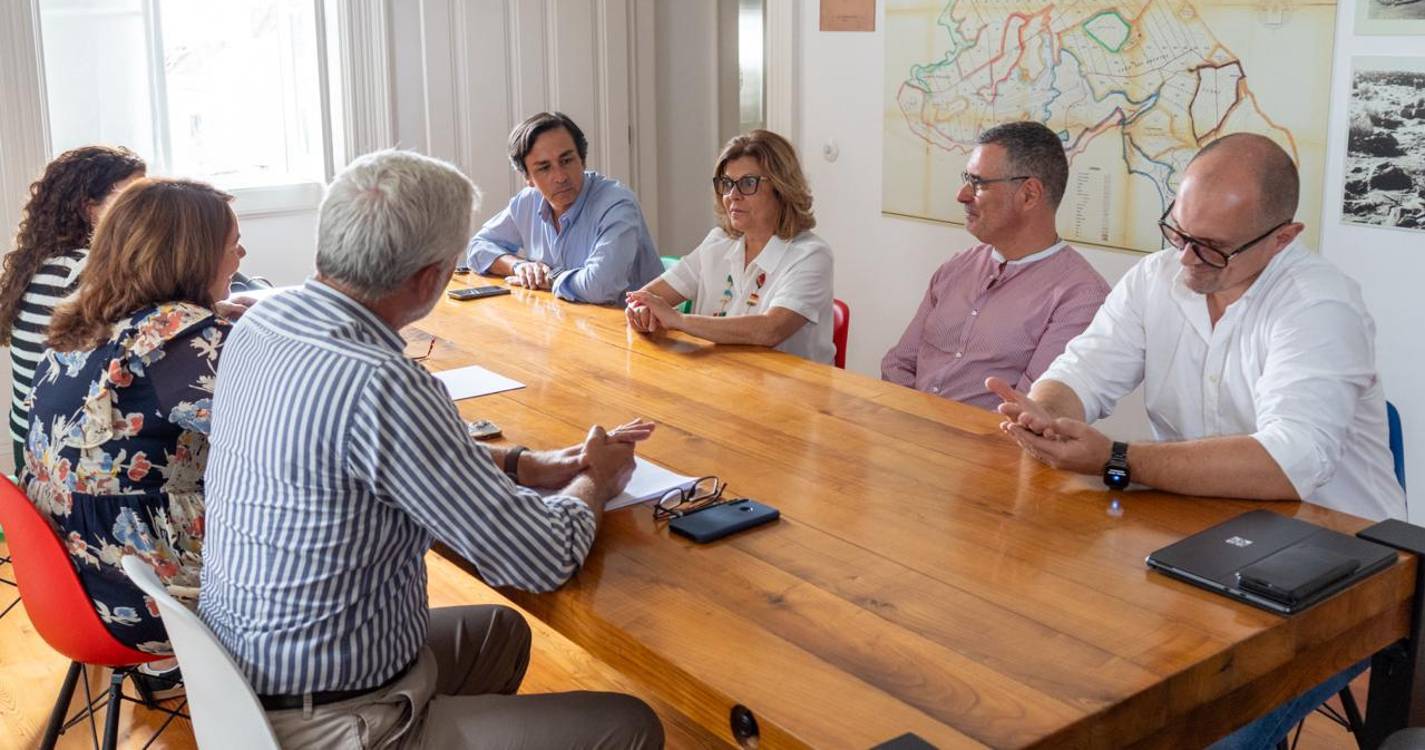 “A cidade não pode continuar a crescer a gosto do freguês A ou B”, aponta Fátima Aveiro