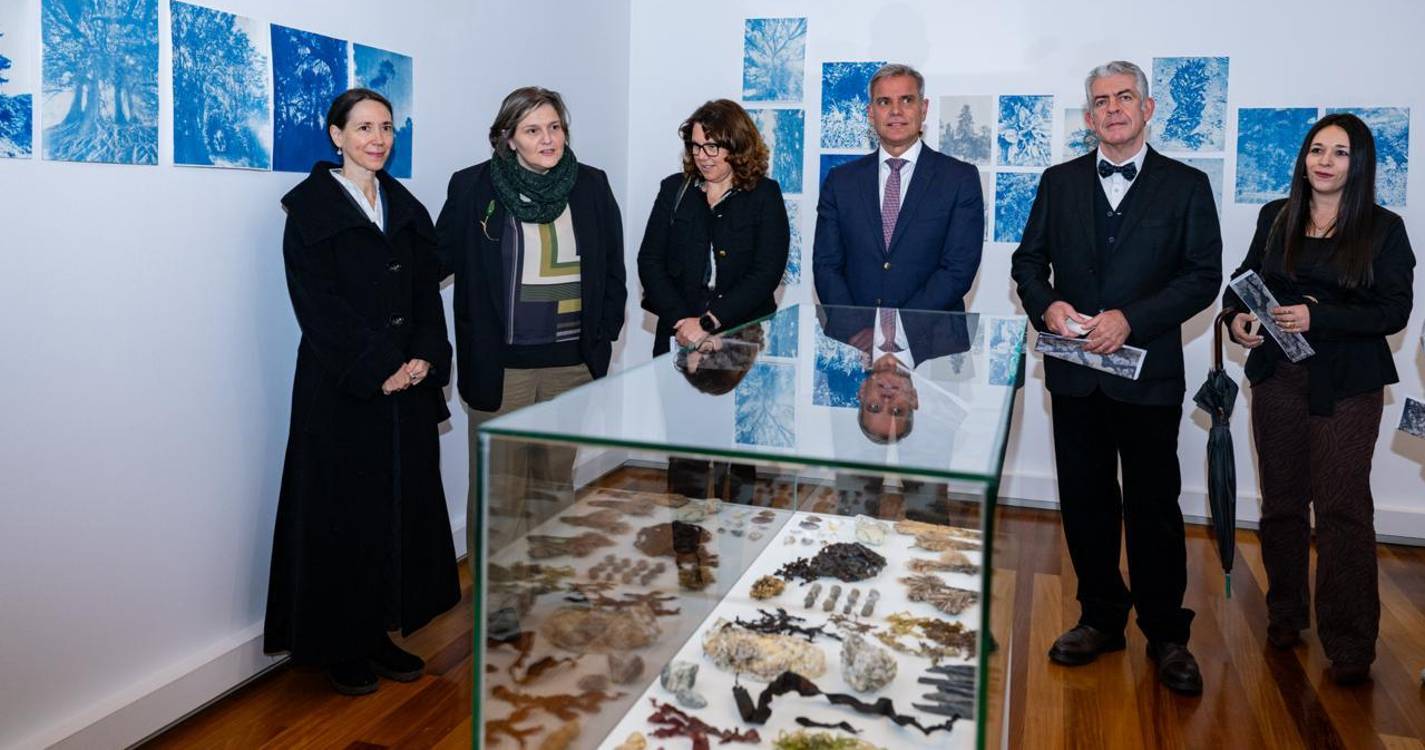 ‘A Semente dos Olhos’ abriu na Galeria dos Prazeres