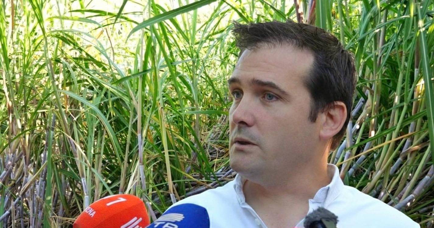 JPP pede apoio extraordinário para os produtores de cana-de-açúcar