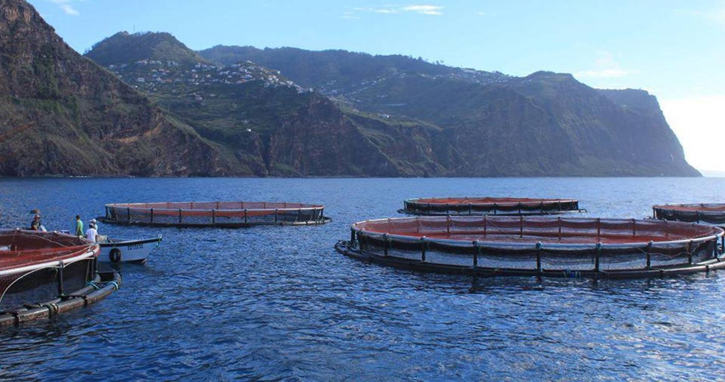 AICEP e Fórum Oceano reforçam cooperação para internacionalizar economia azul