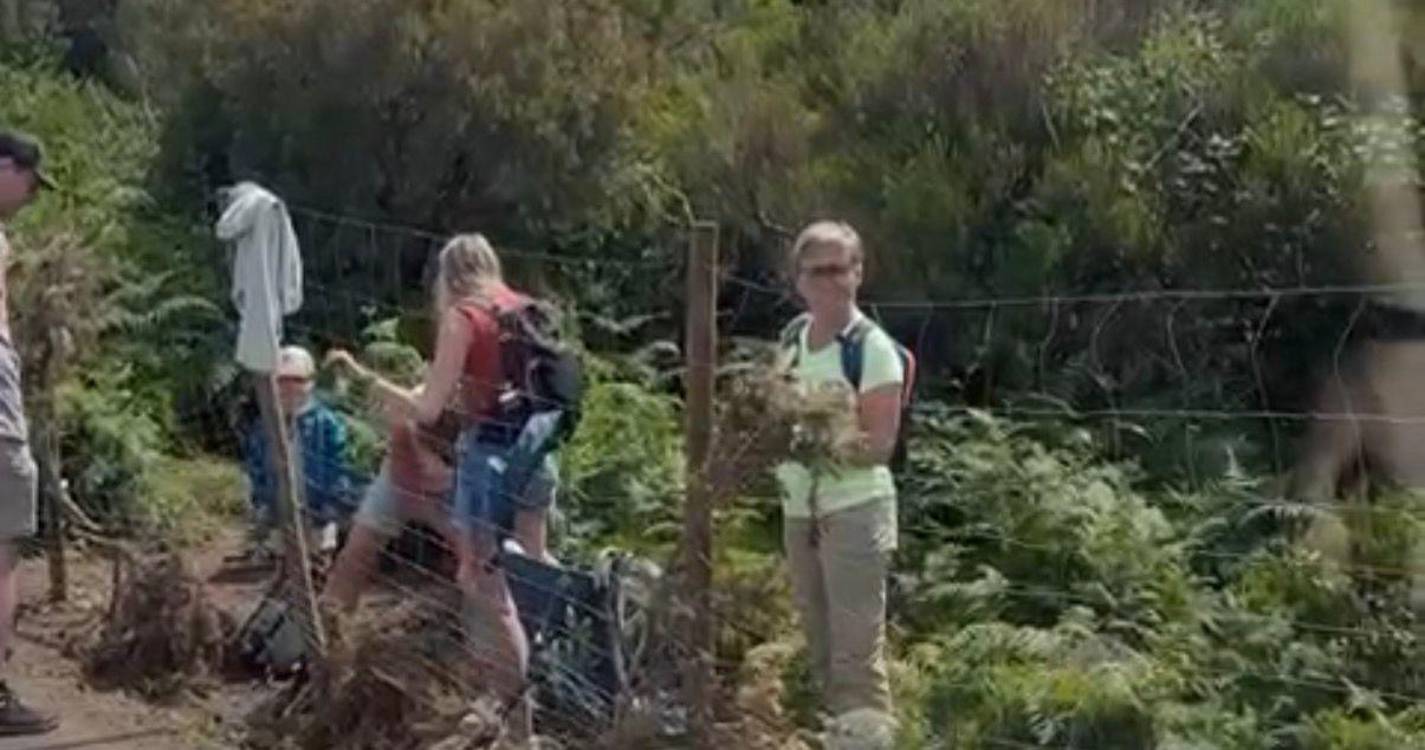 Vídeo na zona oeste da Madeira mostra turistas a ultrapassar vedação em área verde