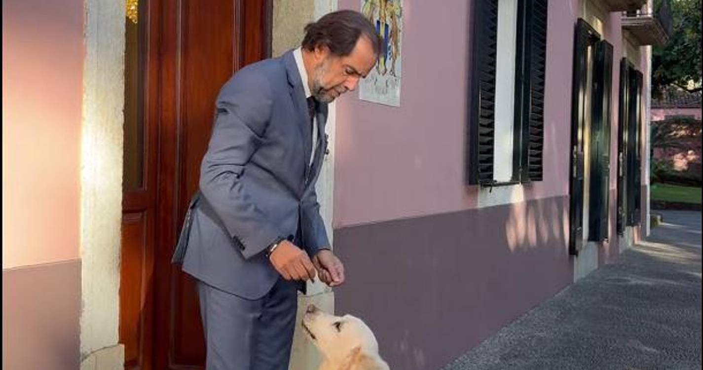 Morreu a cadela Sissi, a mascote da Quinta Vigia