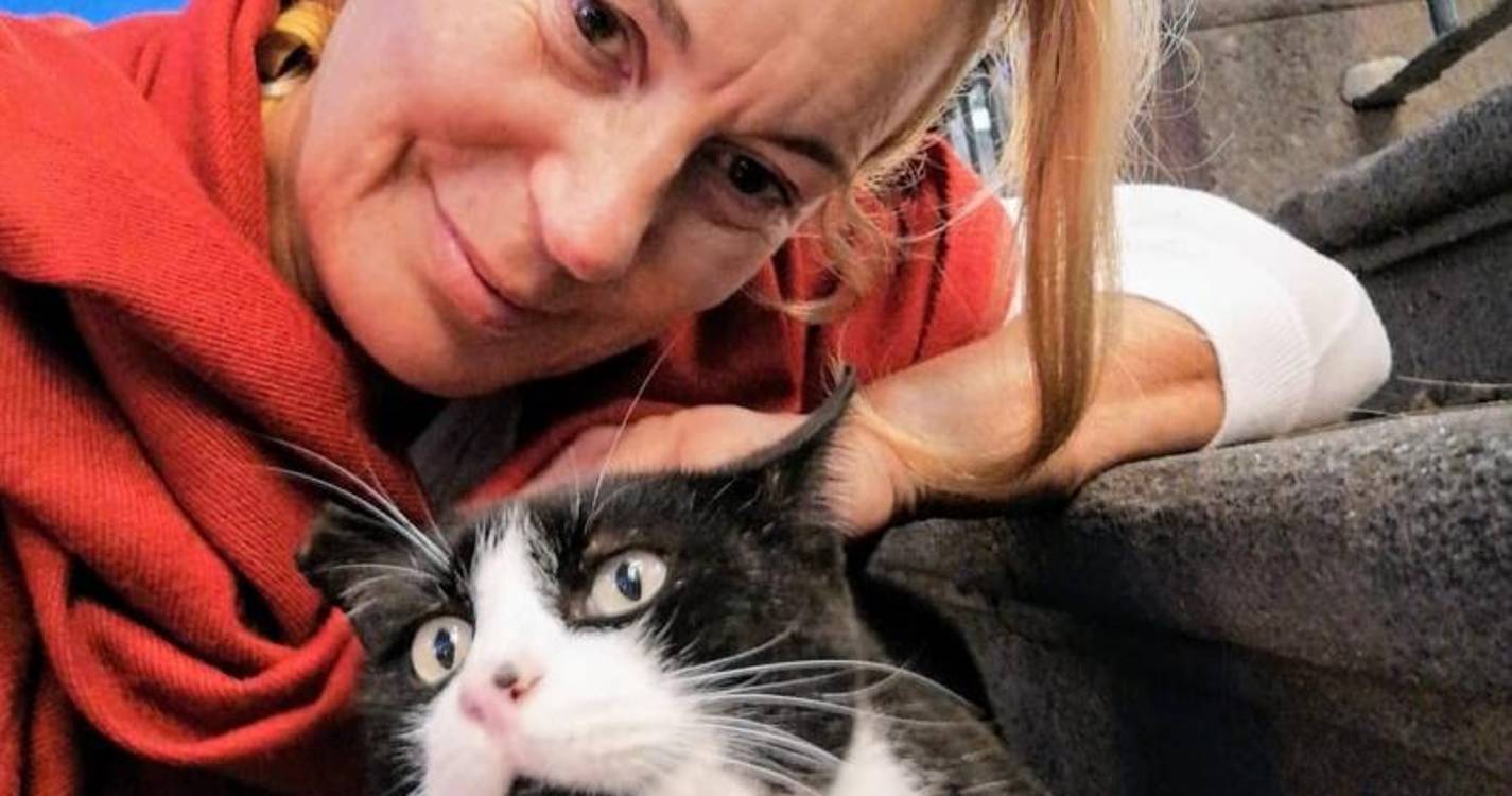 Gato Jackson eternizado na Barreirinha (com fotos)