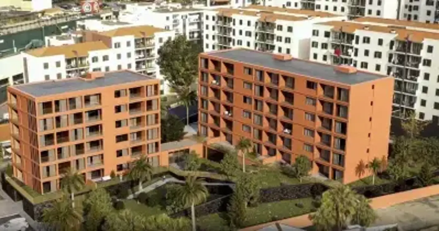 CMF apresenta relatório sobre a Cortel amanhã