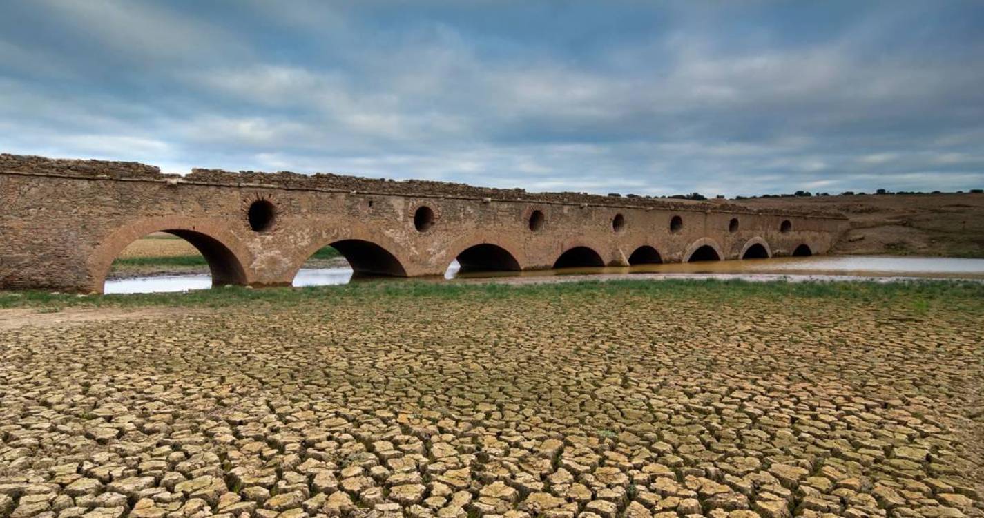 Dia de Combate à Seca alerta para degradação acelerada do solo