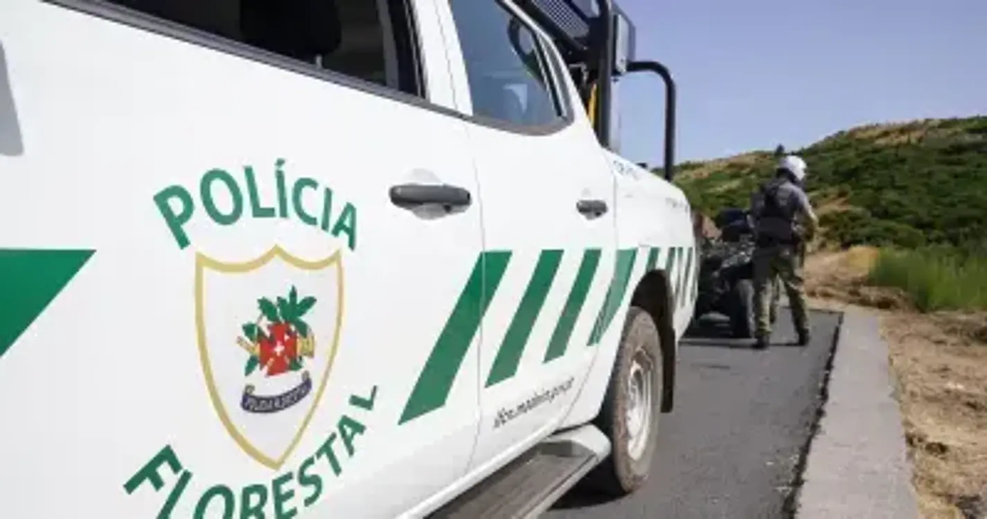 Polícia Florestal deteta construção ilegal