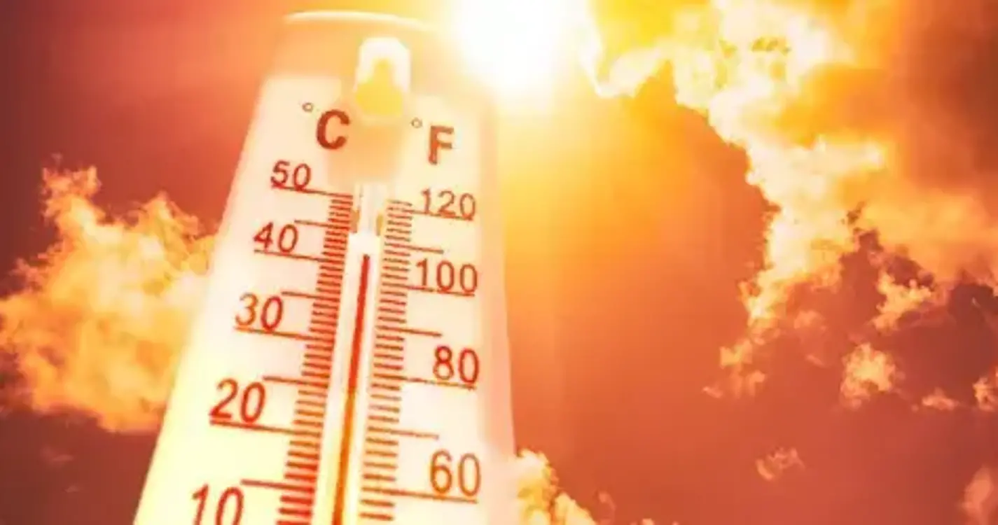 Estudo revela que mais de 2,3 milhões de pessoas poderão morrer na Europa devido ao calor até ao final do século