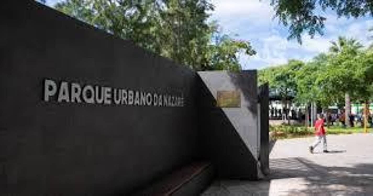 Funchal assinala dia mundial da actividade física a 4 de Abril