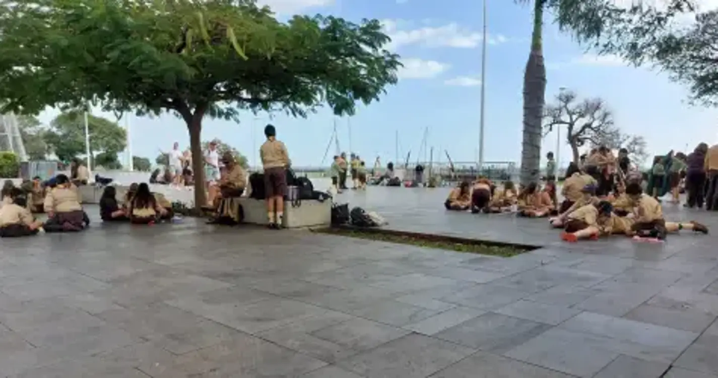 Escoteiros da Madeira celebram centenário do ‘Dia do Pensamento’ no sábado e domingo