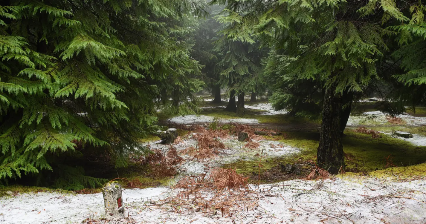 Vento, céu nublado, aguaceiros, neve e talvez granizo