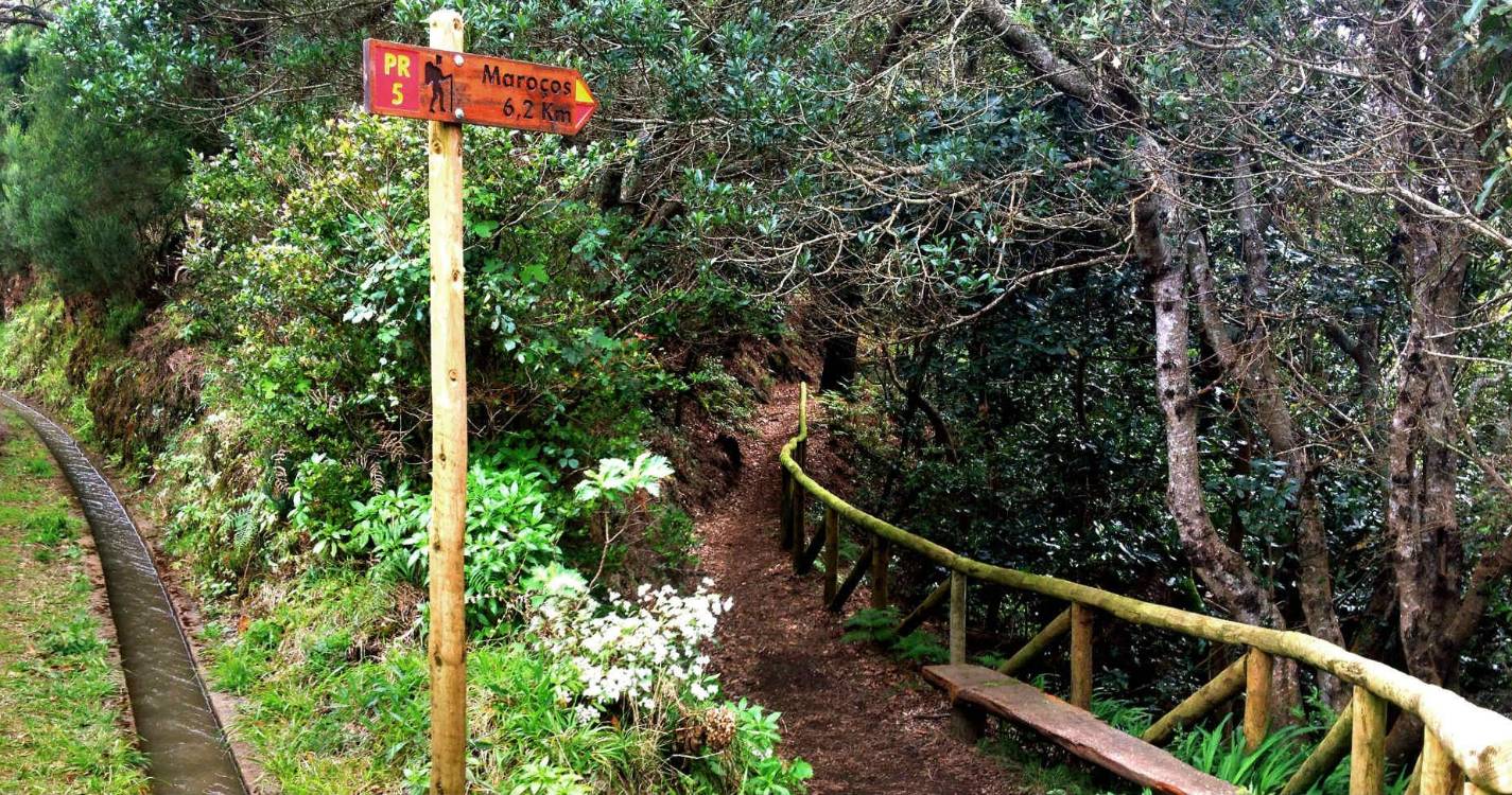 Vereda das Funduras novamente transitável, mas IFCN mantém encerrados nove percursos pedestres