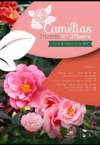 Mostra das camélias dos prazeres antecipada para hoje