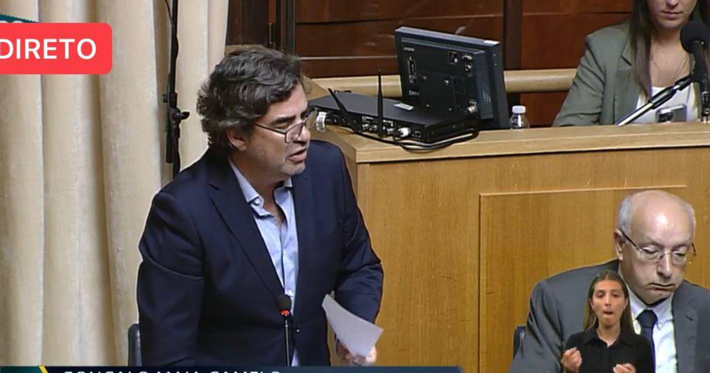 IL sugere liberalização do setor primário