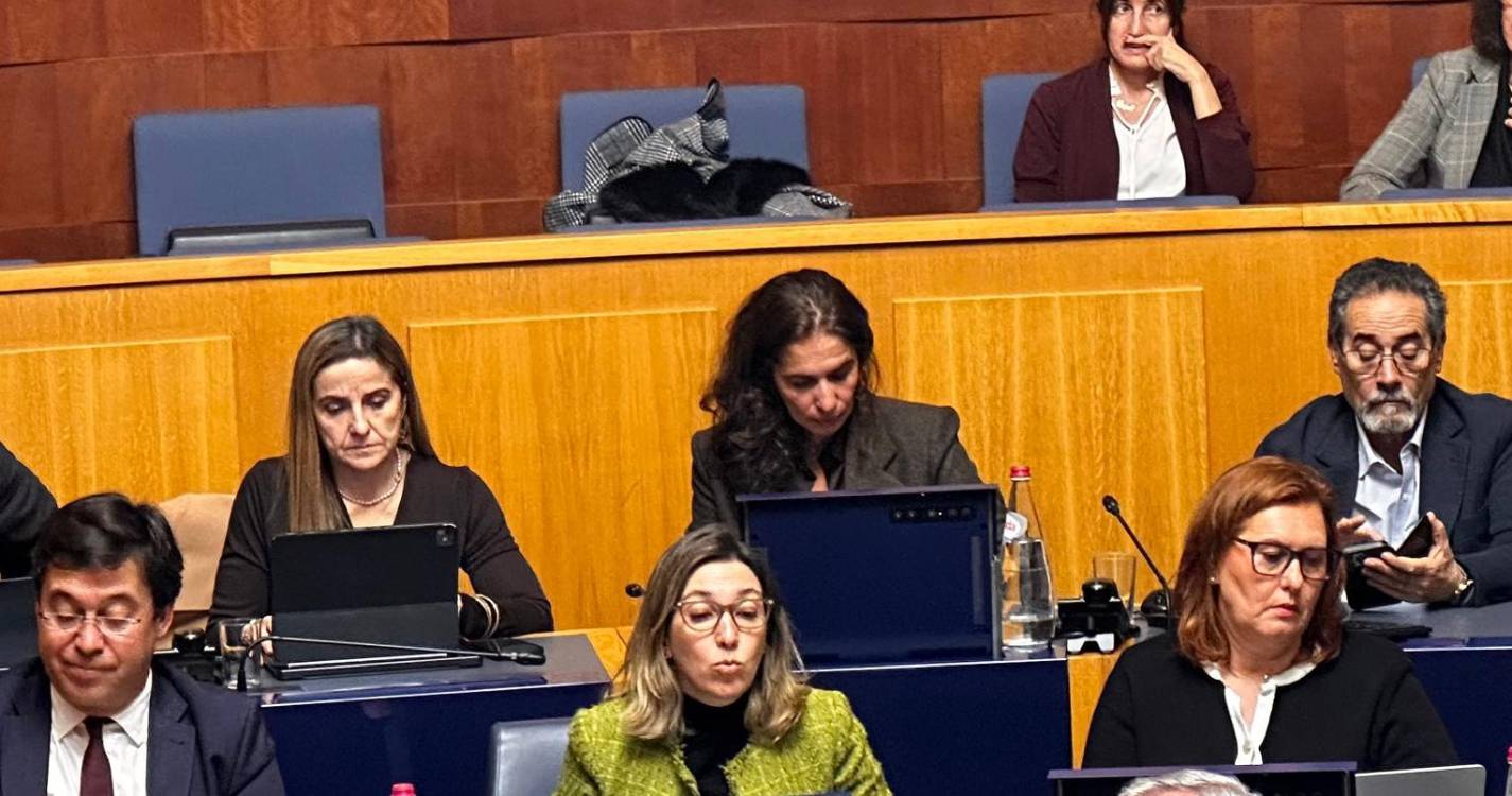 Governo “é a praga e não o remédio” para a natureza, diz PS