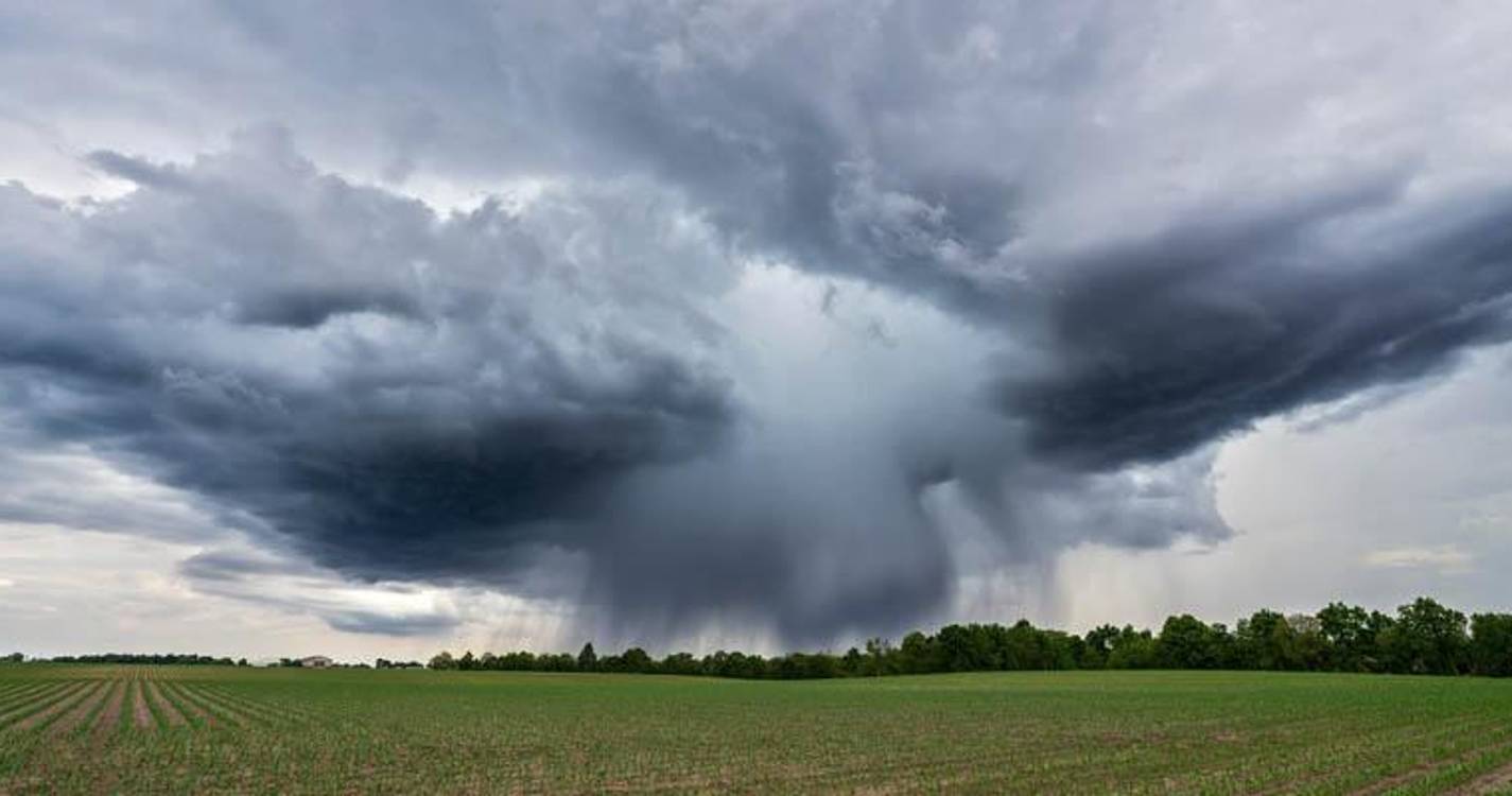 Clima: Jovens que levaram 32 países a tribunal acreditam em decisão favorável na próxima semana