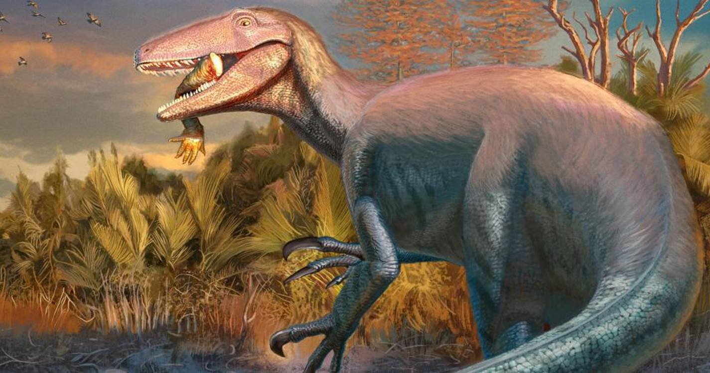 Um novo dinossauro foi descoberto na Argentina