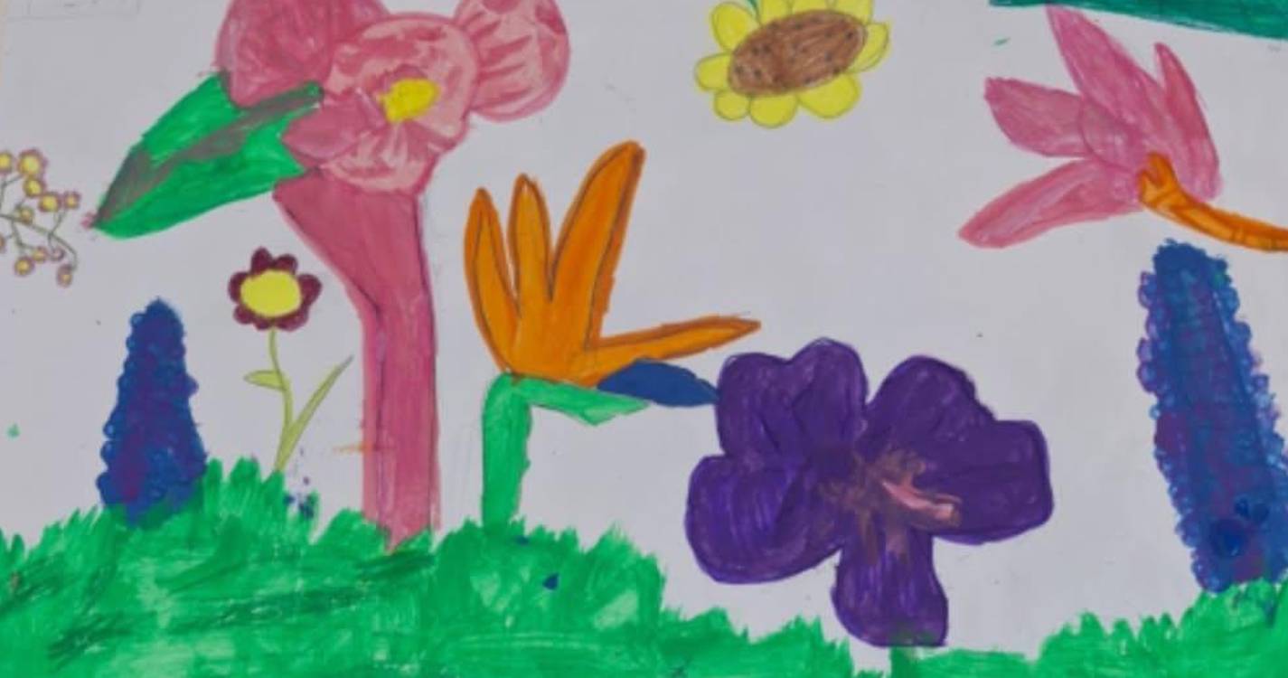 ‘Tesouros da Minha Terra – Flores’ patente no Madeira Shopping até 21 de junho