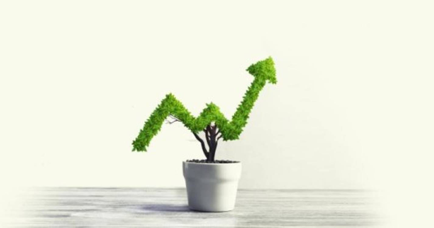 Madeira contraria tendência