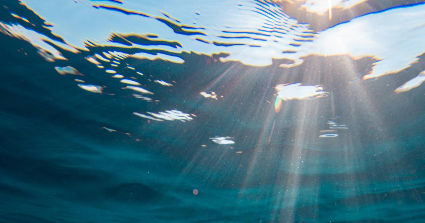 Expo2025: Crianças japonesas juntam-se a Portugal para proteger o oceano